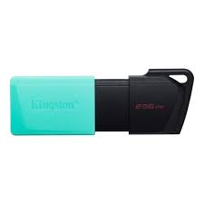 256Gb Kingston DataTraveler Exodia M DTXM/256GB, USB3.2, Black/Teal