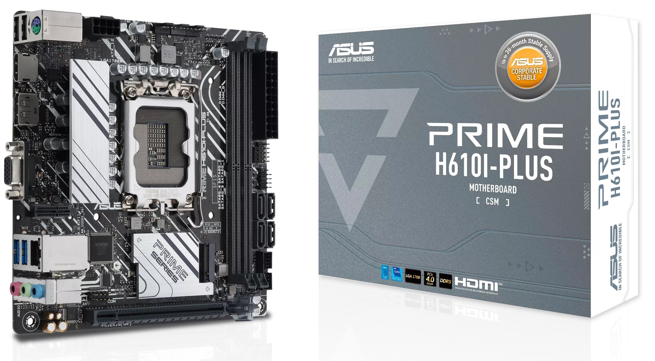 Материнская плата Asus Prime H610I-PLUS-CSM, LGA1700, (VGA, HDMI, DP), 2xDDR V, mini-ITX