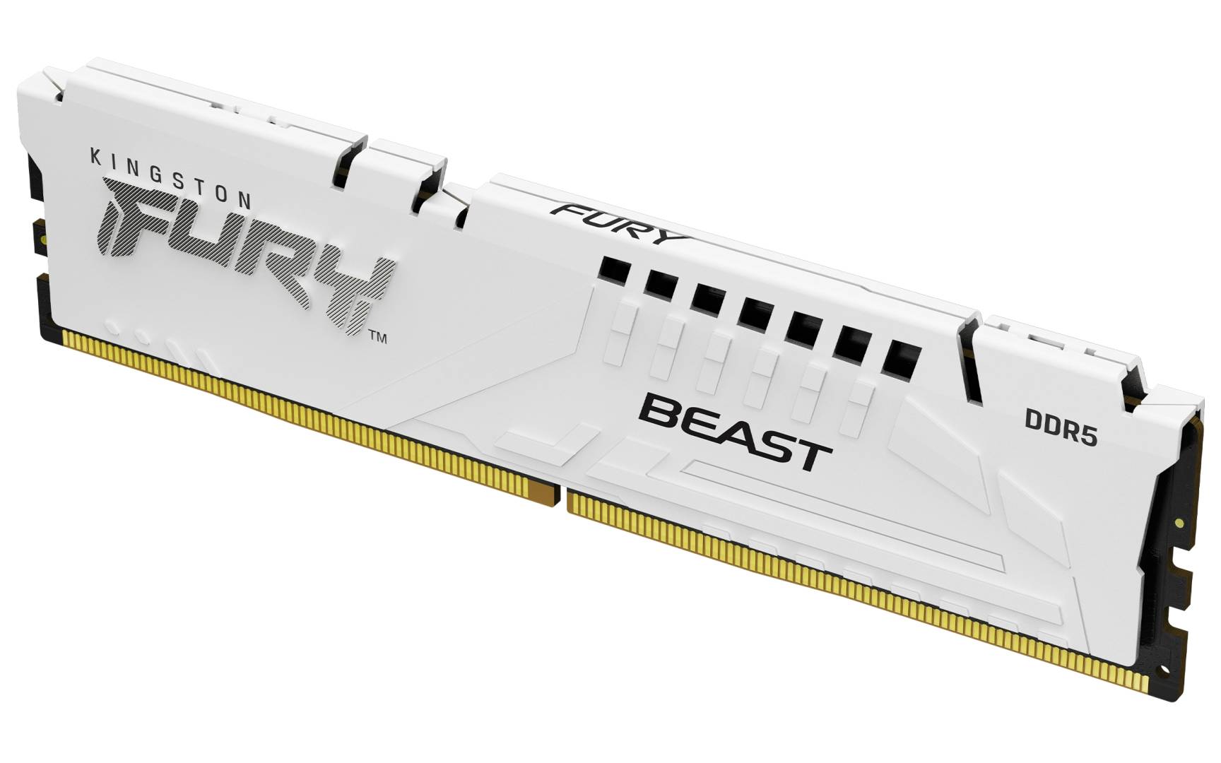 Оперативная память 16Gb Kingston FURY Beast White Expo KF560C36BWE2-16, DDR V, PC-48000, 6000MHz